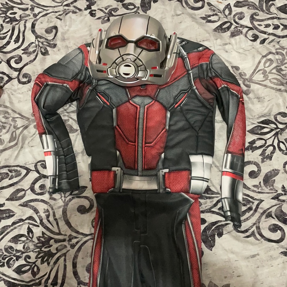 Antman costume